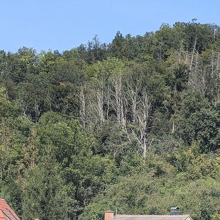 Ferienwohnung Mit Ausblick In Wimmelburg Ngoại thất bức ảnh