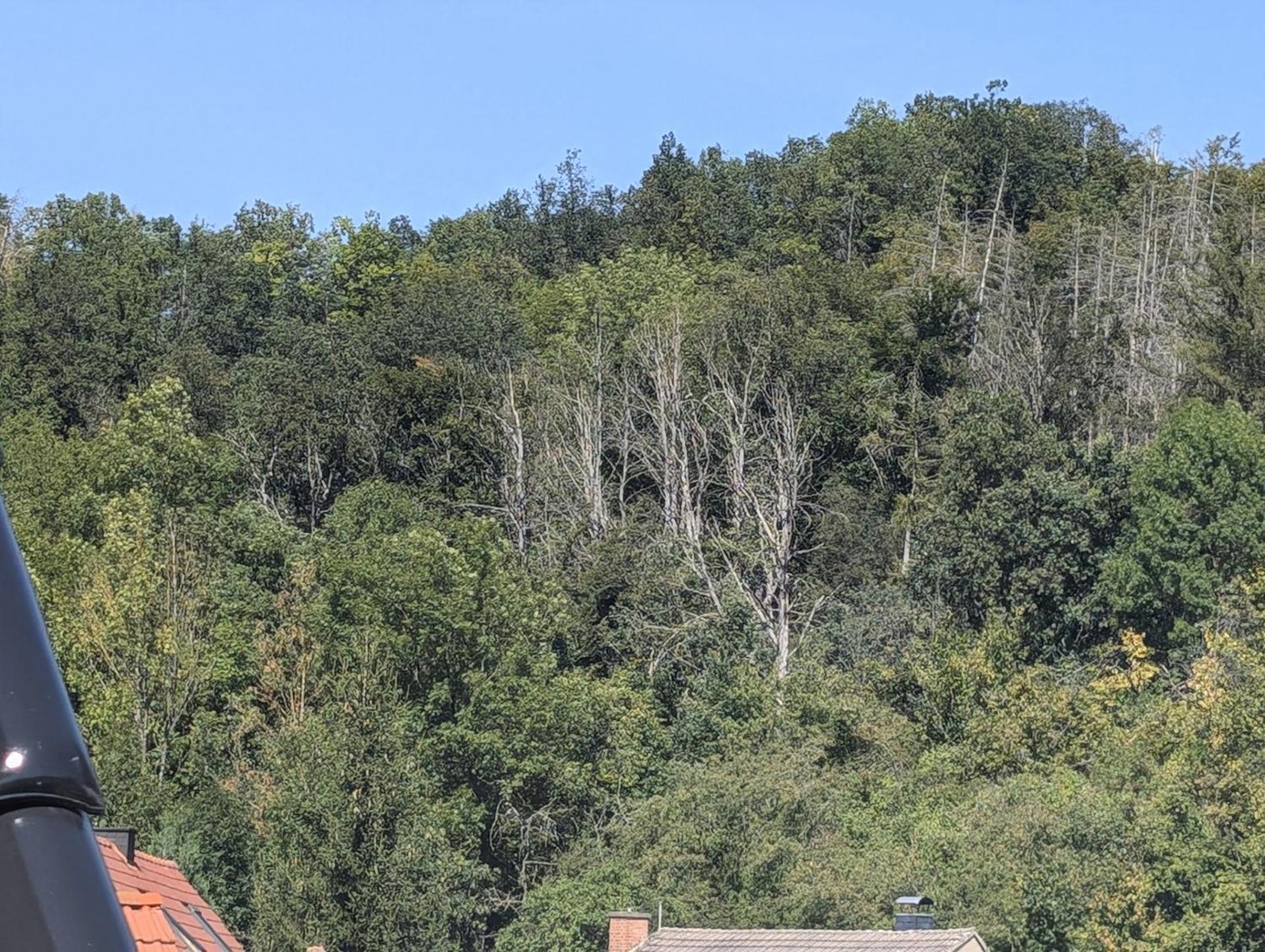 Ferienwohnung Mit Ausblick In Wimmelburg Ngoại thất bức ảnh